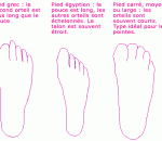 types-de-pieds